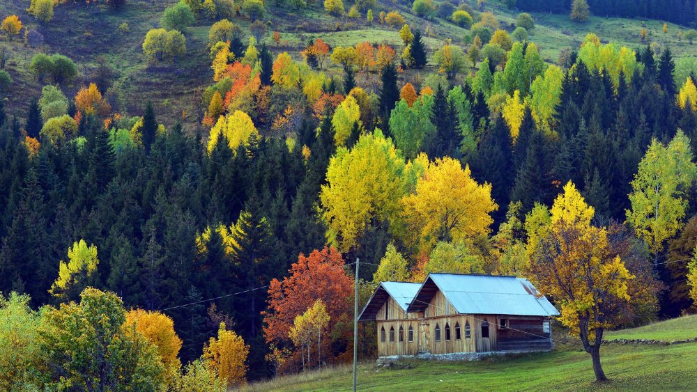 Şavşat Fotoğrafları