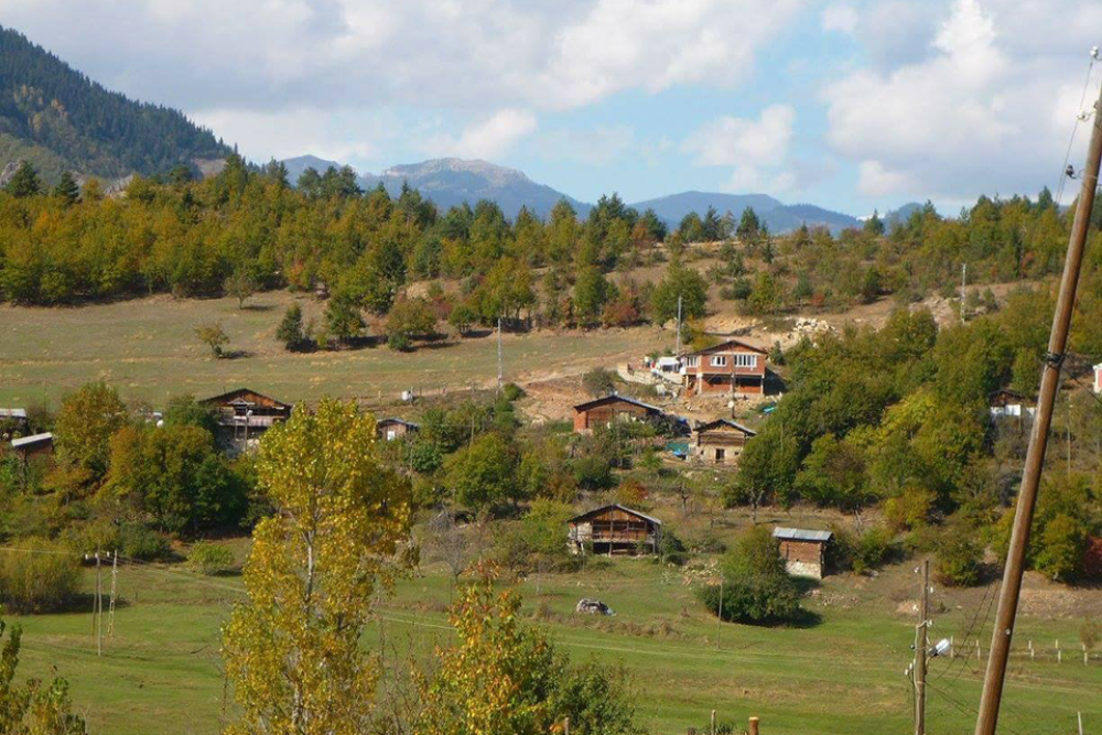 Çayağzı Köyü (Sirasinkot)