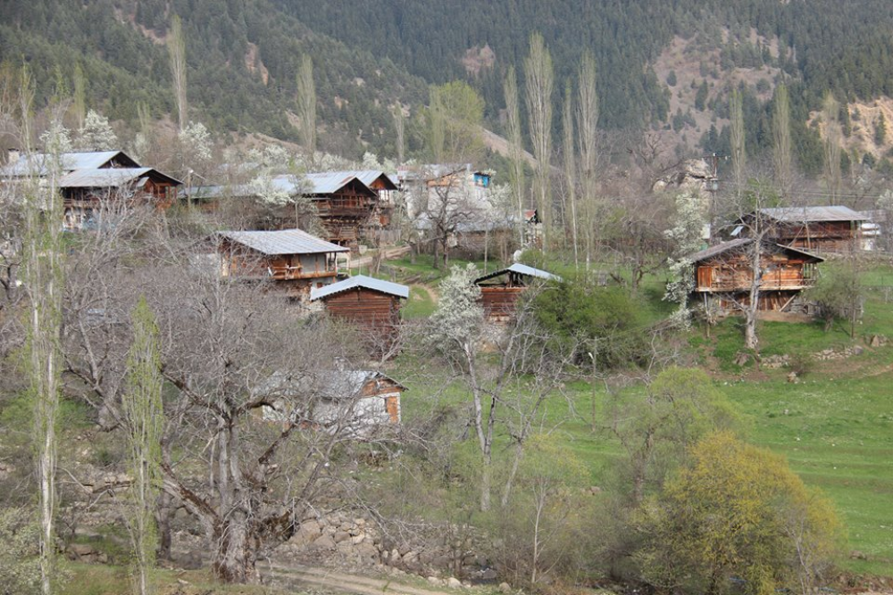 Cevizli Köyü (Tibet)