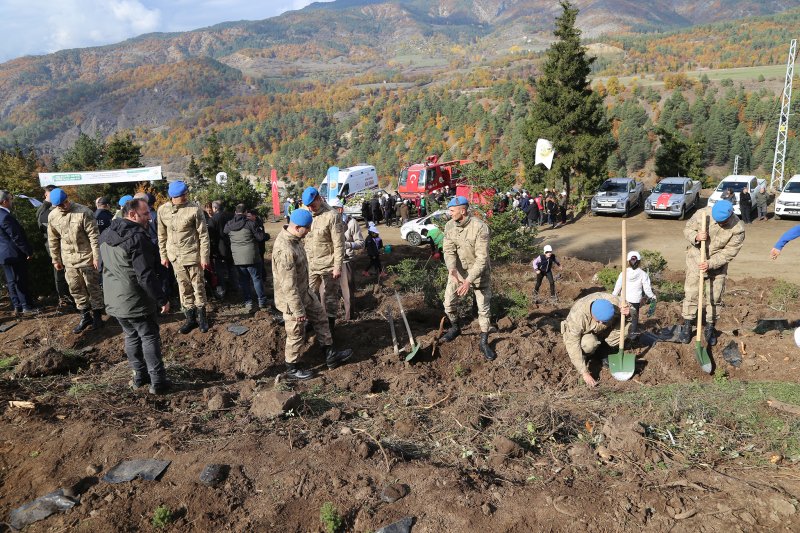 11 Kasım "Milli Ağaçlandırma Günü" Kapsamında İlçemizde Fidanlar Toprakla Buluşturuldu Medya Galerisi