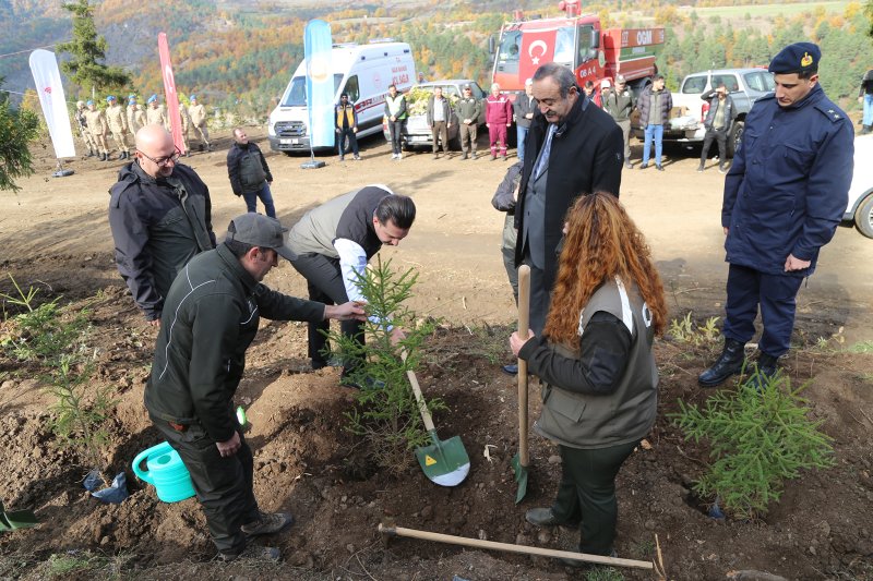 11 Kasım "Milli Ağaçlandırma Günü" Kapsamında İlçemizde Fidanlar Toprakla Buluşturuldu Medya Galerisi