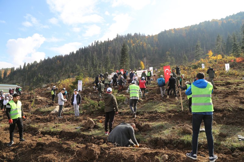 11 Kasım "Milli Ağaçlandırma Günü" Kapsamında İlçemizde Fidanlar Toprakla Buluşturuldu Medya Galerisi