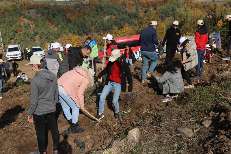 11 Kasım "Milli Ağaçlandırma Günü" Kapsamında İlçemizde Fidanlar Toprakla Buluşturuldu Medya Galerisi
