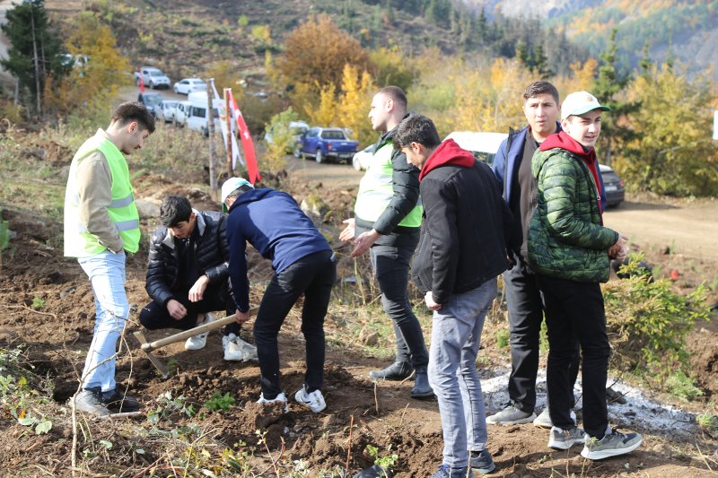 11 Kasım "Milli Ağaçlandırma Günü" Kapsamında İlçemizde Fidanlar Toprakla Buluşturuldu Medya Galerisi