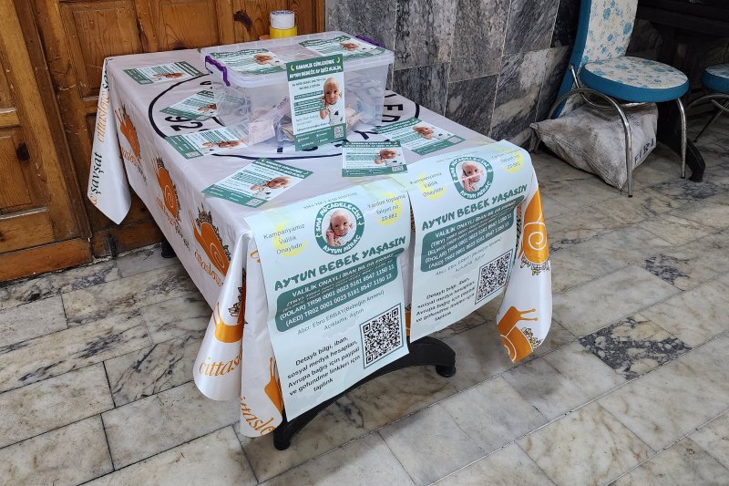 Şavşat Çocuk Belediyesi “Çocuk Şenliği” Düzenledi Medya Galerisi