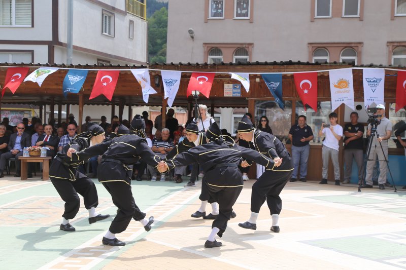 Şavşat Sahara Kültür ve Sanat Festivali Sona Erdi Medya Galerisi