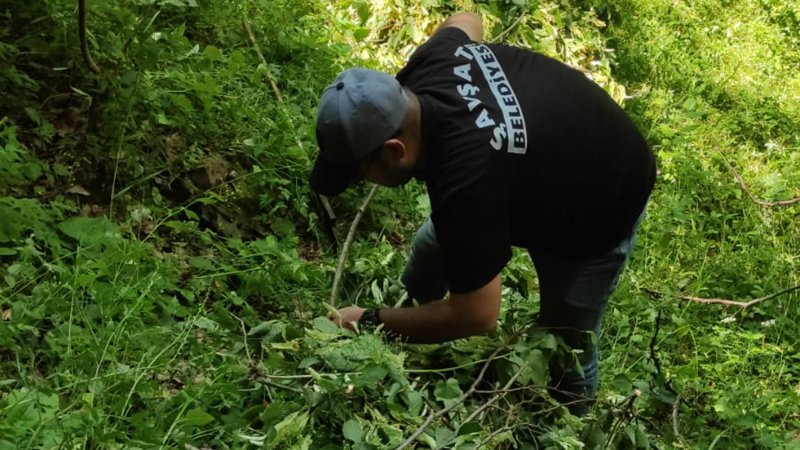 Şavşat Tarımsal Kalkınma Kooperatifi Üretimlerine Devam Ediyor Medya Galerisi