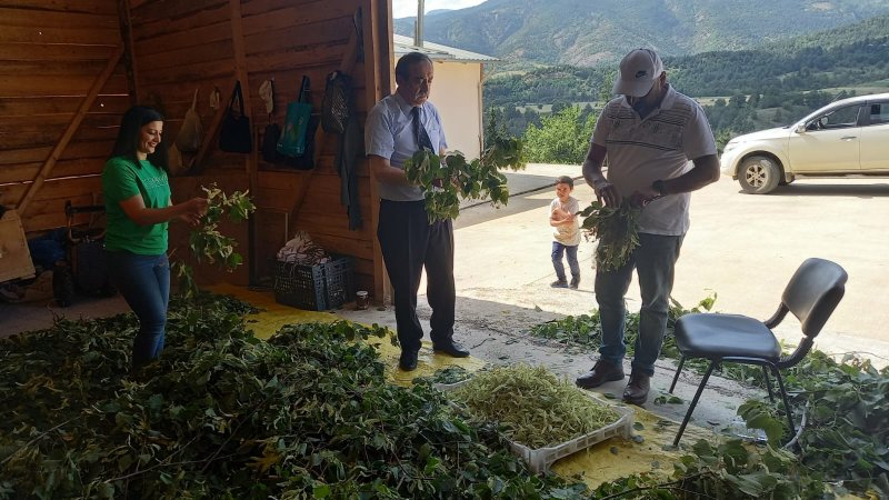 Şavşat Tarımsal Kalkınma Kooperatifi Üretimlerine Devam Ediyor Medya Galerisi