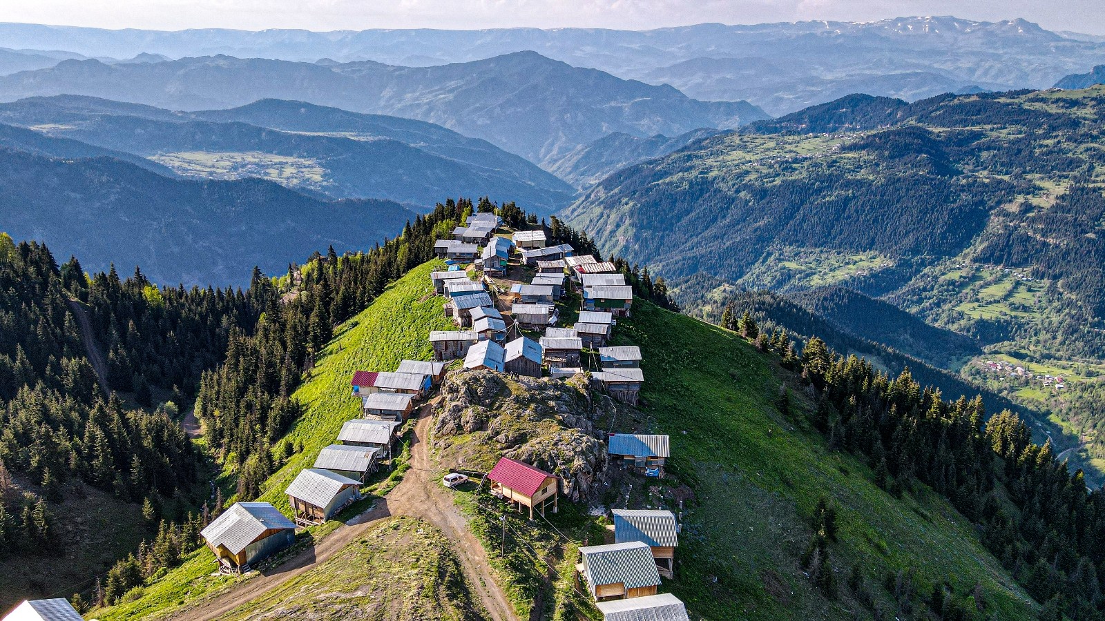 Boselta Yaylası