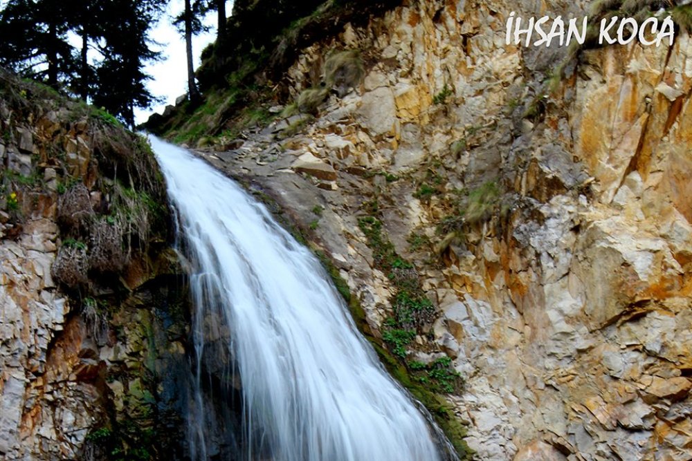 Cevizli Köyü (Tibet)