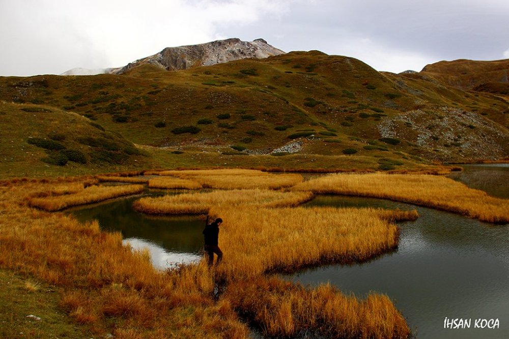 Cevizli Köyü (Tibet)